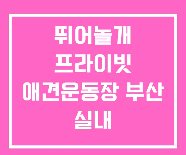 뛰어놀개 프라이빗 애견운동장 부산 실내