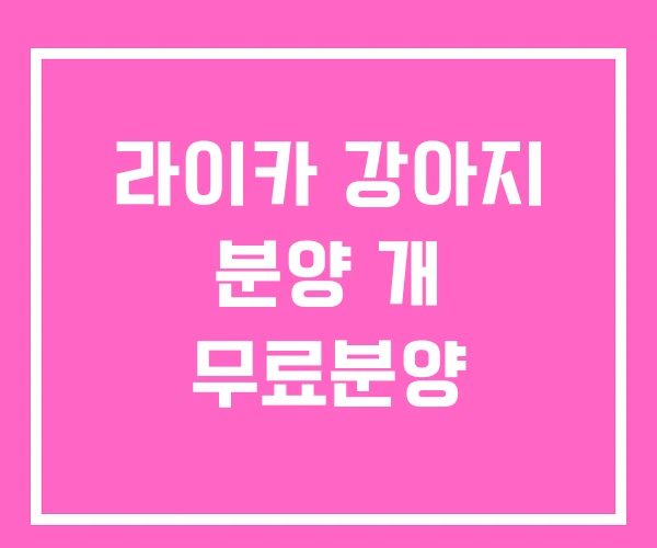 라이카 강아지 분양 개 무료분양 라이카 강아지 분양 개 무료분양