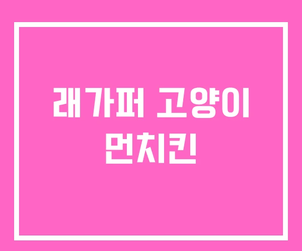 래가퍼 고양이 먼치킨