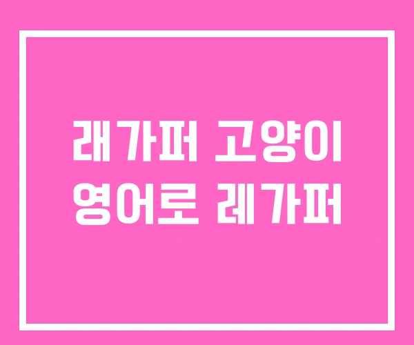 래가퍼 고양이 영어로 레가퍼