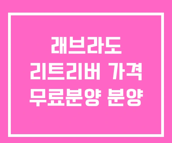 래브라도 리트리버 가격 무료분양 분양