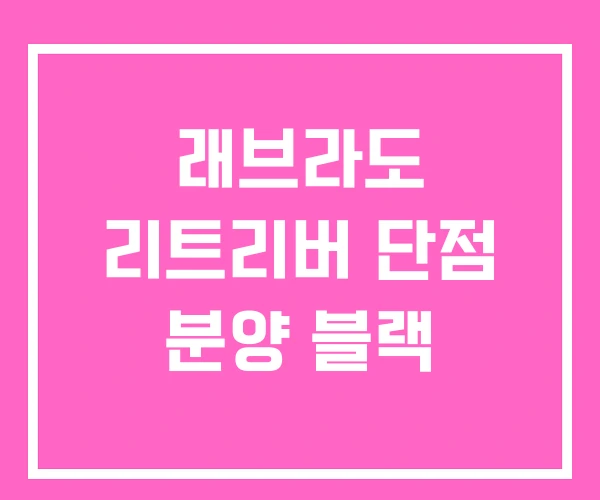 래브라도 리트리버 단점 분양 블랙 래브라도 리트리버 단점 분양 블랙