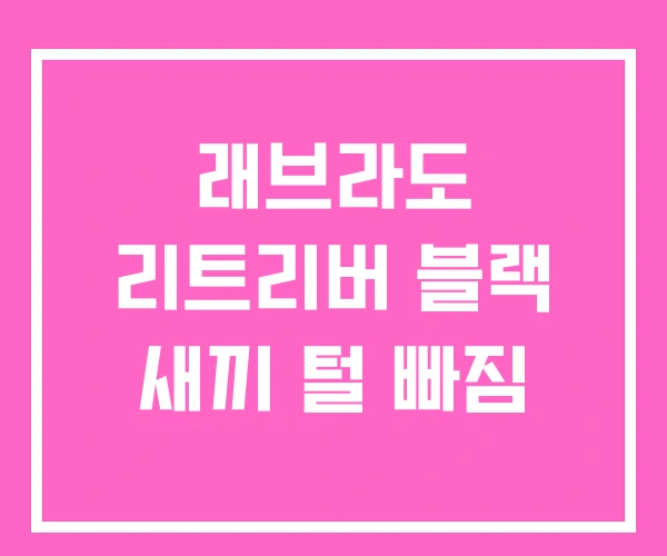 래브라도 리트리버 블랙 새끼 털 빠짐 래브라도 리트리버 블랙 새끼 털 빠짐