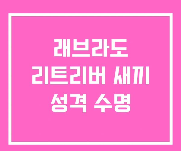 래브라도 리트리버 새끼 성격 수명