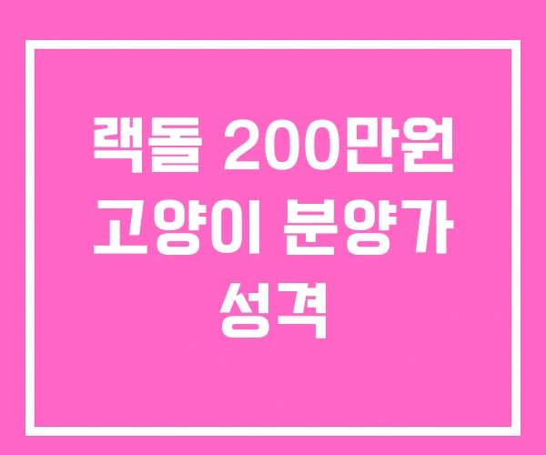 랙돌 200만원 고양이 분양가 성격