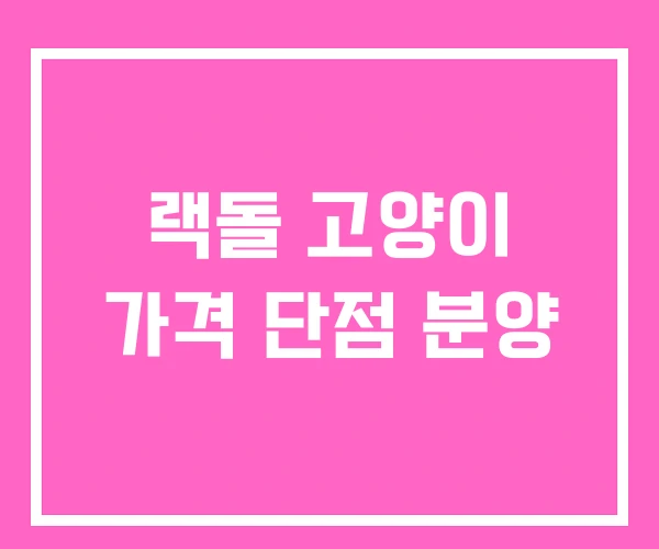 랙돌 고양이 가격 단점 분양