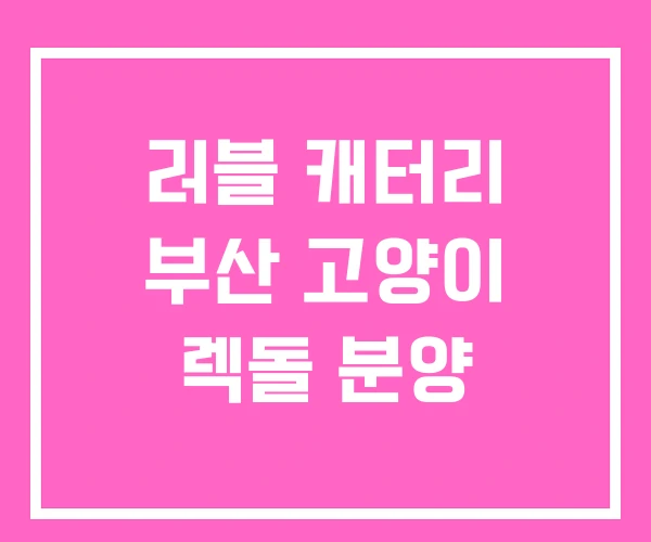 러블 캐터리 부산 고양이 렉돌 분양