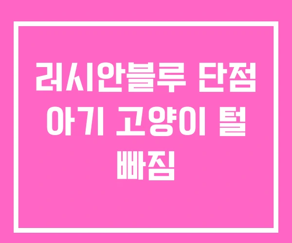 러시안블루 단점 아기 고양이 털 빠짐