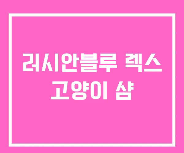 러시안블루 렉스 고양이 샴