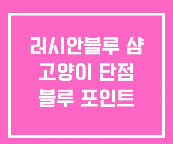 러시안블루 샴 고양이 단점 블루 포인트