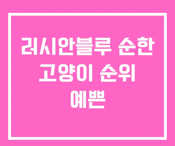 러시안블루 순한 고양이 순위 예쁜