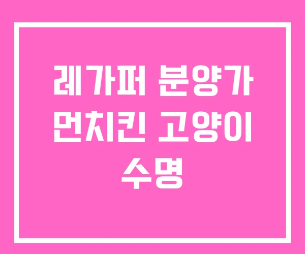 레가퍼 분양가 먼치킨 고양이 수명