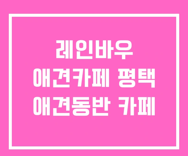 레인바우 애견카페 평택 애견동반 카페