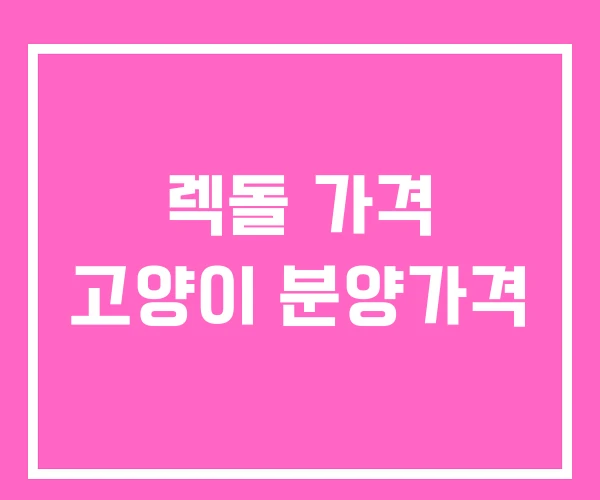 렉돌 가격 고양이 분양가격