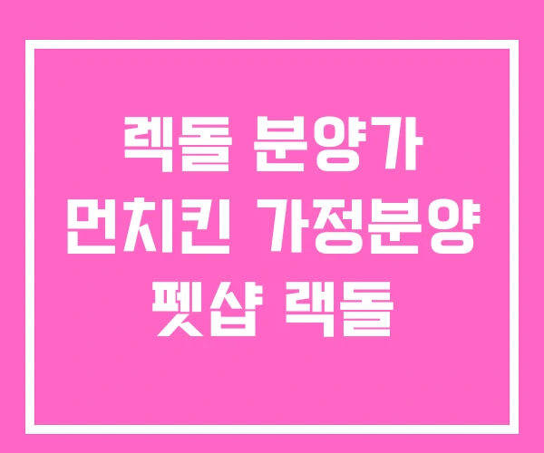 렉돌 분양가 먼치킨 가정분양 펫샵 랙돌