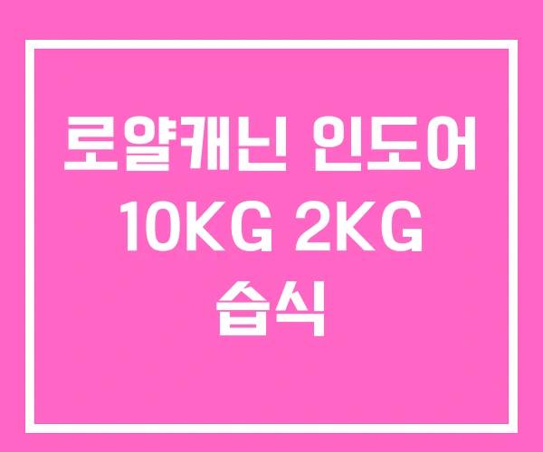 로얄캐닌 인도어 10KG 2KG 습식 로얄캐닌 인도어 10KG 2KG 습식