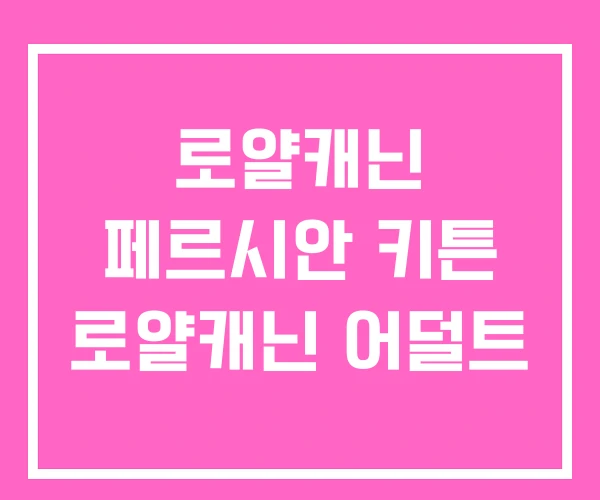 로얄캐닌 페르시안 키튼 로얄캐닌 어덜트 로얄캐닌 페르시안 키튼 로얄캐닌 어덜트