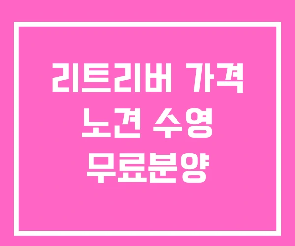 리트리버 가격 노견 수영 무료분양 리트리버 가격 노견 수영 무료분양