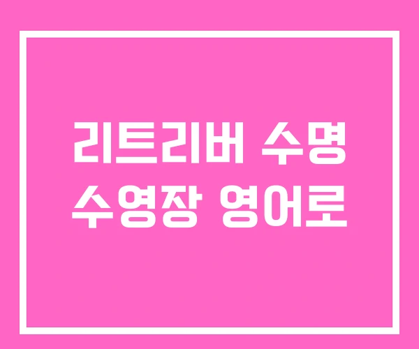 리트리버 수명 수영장 영어로