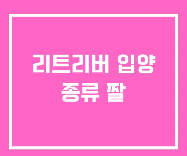 리트리버 입양 종류 짤