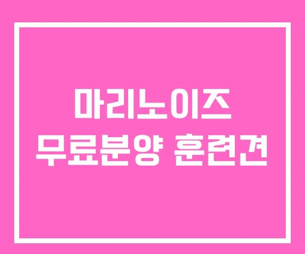 마리노이즈 무료분양 훈련견