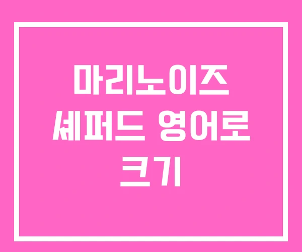 마리노이즈 셰퍼드 영어로 크기