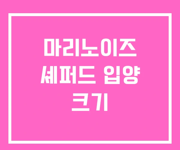 마리노이즈 셰퍼드 입양 크기