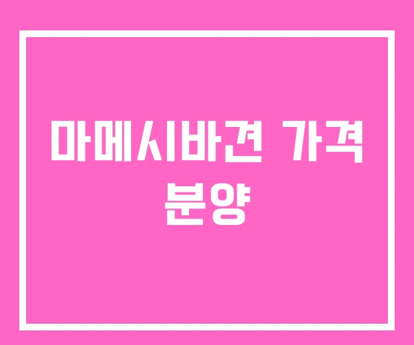 마메시바견 가격 분양