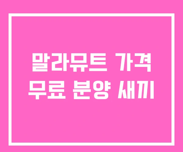 말라뮤트 가격 무료 분양 새끼