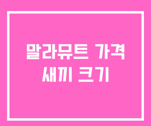 말라뮤트 가격 새끼 크기 말라뮤트 가격 새끼 크기