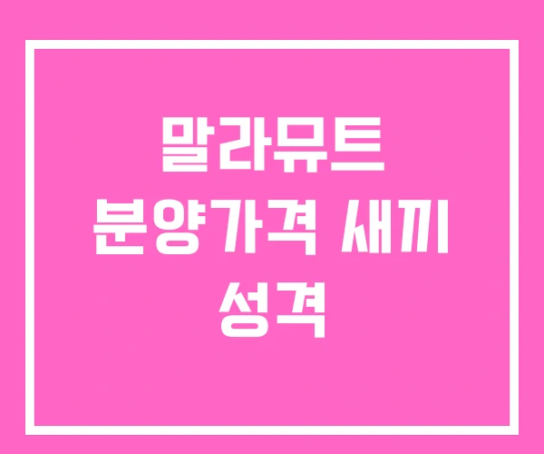 말라뮤트 분양가격 새끼 성격