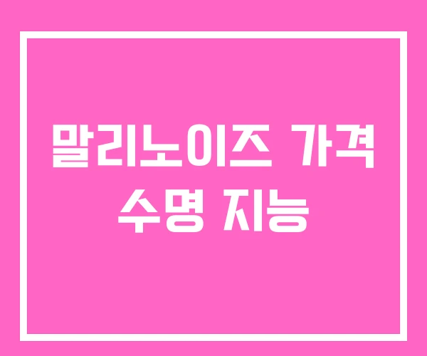 말리노이즈 가격 수명 지능