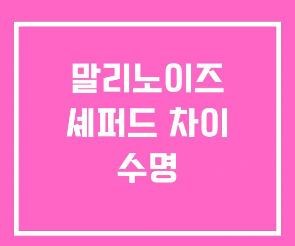 말리노이즈 셰퍼드 차이 수명 말리노이즈 셰퍼드 차이 수명