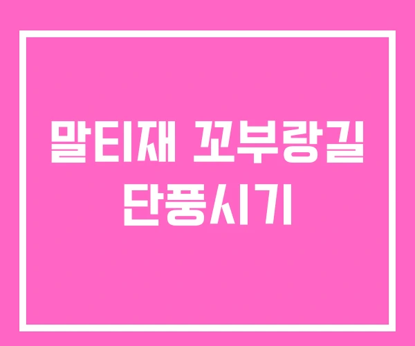 말티재 꼬부랑길 단풍시기 말티재 꼬부랑길 단풍시기