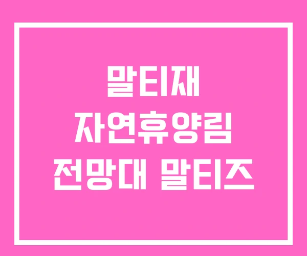 말티재 자연휴양림 전망대 말티즈 말티재 자연휴양림 전망대 말티즈