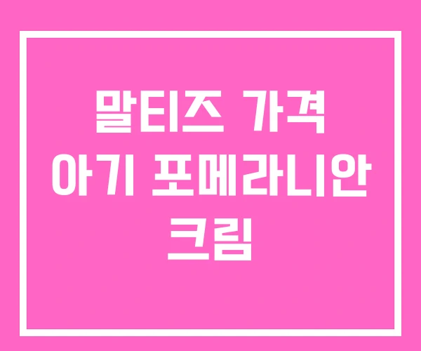 말티즈 가격 아기 포메라니안 크림 말티즈 가격 아기 포메라니안 크림