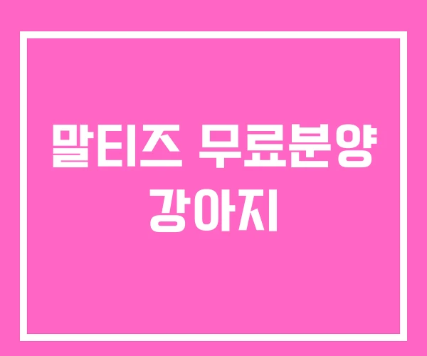 말티즈 무료분양 강아지 말티즈 무료분양 강아지