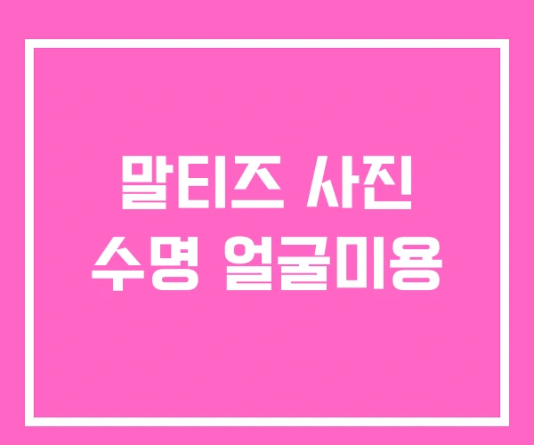 말티즈 사진 수명 얼굴미용