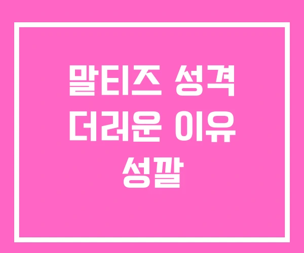 말티즈 성격 더러운 이유 성깔