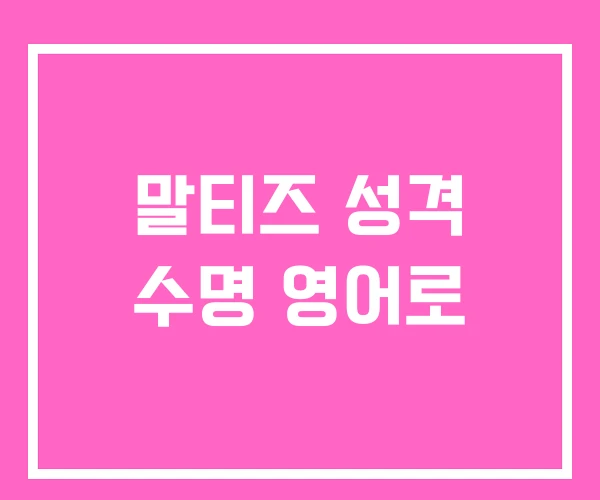 말티즈 성격 수명 영어로