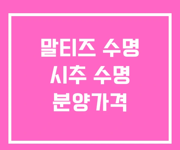 말티즈 수명 시추 수명 분양가격