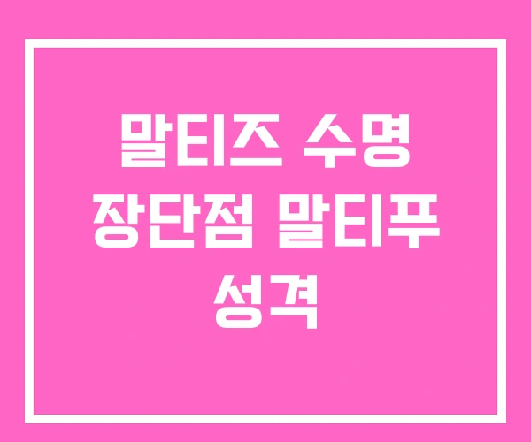 말티즈 수명 장단점 말티푸 성격