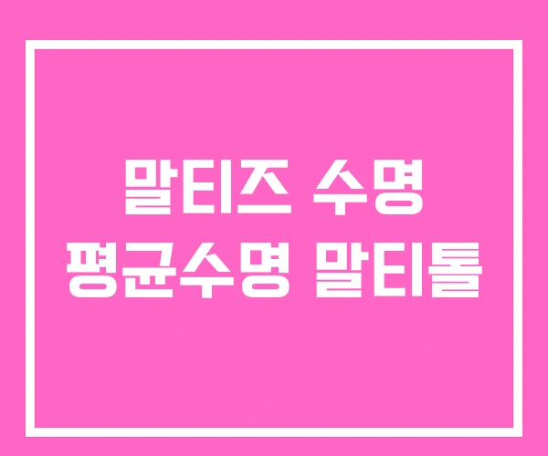 말티즈 수명 평균수명 말티톨