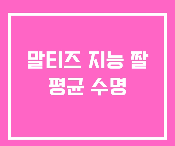 말티즈 지능 짤 평균 수명