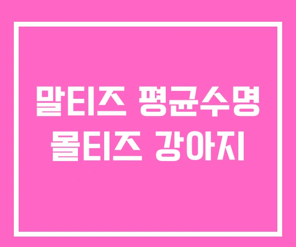 말티즈 평균수명 몰티즈 강아지 말티즈 평균수명 몰티즈 강아지