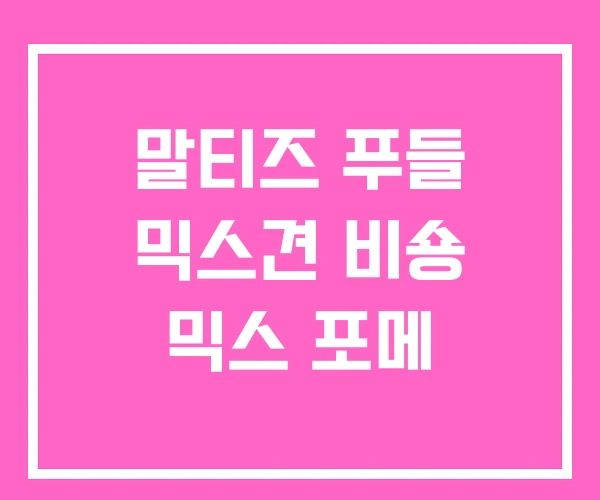 말티즈 푸들 믹스견 비숑 믹스 포메 말티즈 푸들 믹스견 비숑 믹스 포메