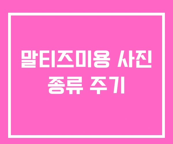말티즈미용 사진 종류 주기 말티즈미용 사진 종류 주기