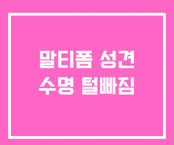 말티폼 성견 수명 털빠짐 말티폼 성견 수명 털빠짐