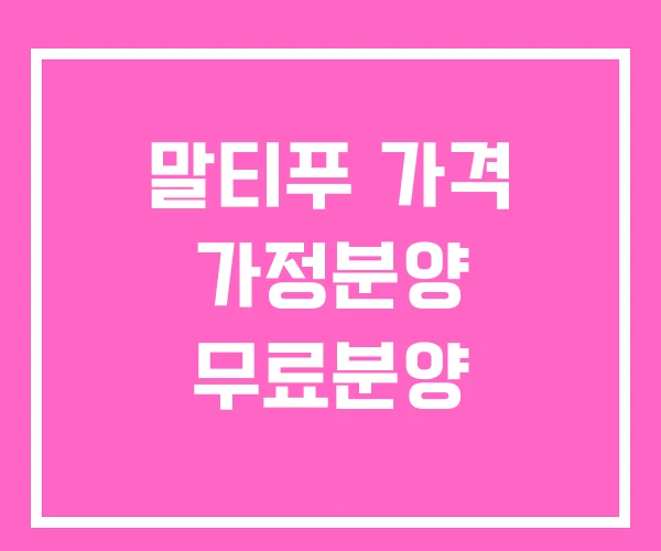 말티푸 가격 가정분양 무료분양