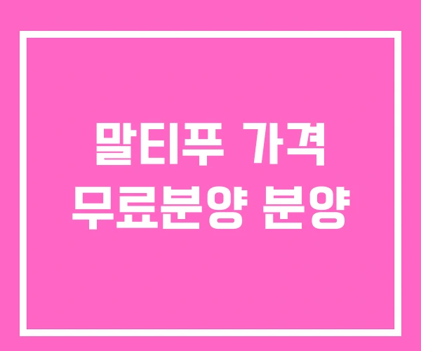 말티푸 가격 무료분양 분양